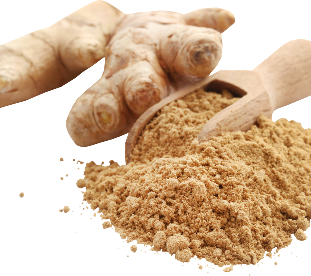 Ginger and Weight loss:Can Drinking Ginger Help Me Lose Weight?